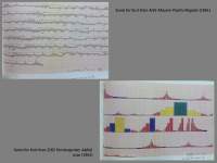 Keynote lecture slide. Megan Hoetger, 