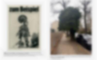 Detail.  Sterre Barentsen, *A Conversation about Trees in East Berlin*, 2021.