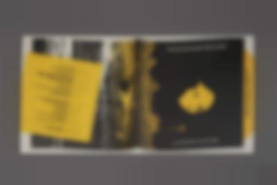 Album interior. *Black Revelry: In Honor of 'The Sugar Shack'*, edited by Carter with contributions from Taylor Renée Aldridge; Samiya Bashir; La Marr Jurelle Bruce; Derrais Carter; DJ Lynnée Denise, William H. Mosley, III, Zoé Samudzi, S*an D. Henry-Smith, Melanie Stevens and Phillip B. Williams. Design by Karoline Świeżyński. Photo: Temra Pavlović, courtesy of If I Can't Dance, Amsterdam.