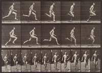 A male presenting person appears running in 20 frames. In 10 of these, which occupy the majority of the image, the side perspective is shown. In the remaining 10, the pictures have been taken from a frontal perspective.