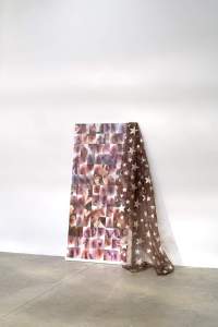 Art installation consisting of several photo prints of anuses glued to a linen canvas, which has been propped against a white wall. A brown nylon textile with silver stars is draped on the right.
