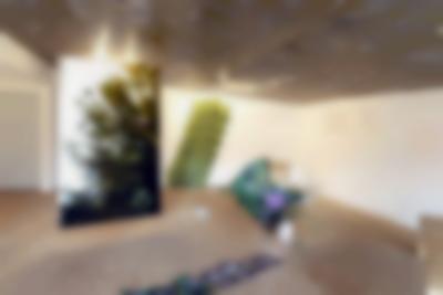 In an exhibition space, a large photographic print with green foliage is suspended from the ceiling. To the left, a photographic print has been placed on top of a plant in a vase. To the front of the print, a long line of flower prints that stretches across the floor is partially visible. On the walls, there are more prints with images and text.