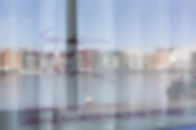 Exhibition installation image. Sands Murray-Wassink, *In Good Company (Horsepower): Materials from the Gift Science Archive, 1993-present*, mistral, Amsterdam, March - May 2021. Photo: Charlott Markus, courtesy of If I Can't Dance and mistral, Amsterdam.