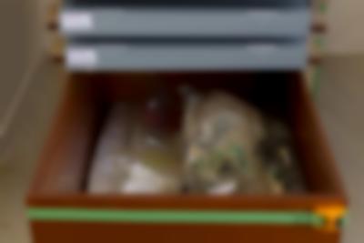 Exhibition installation image. Sands Murray-Wassink, *In Good Company (Horsepower): Materials from the Gift Science Archive, 1993-present*, mistral, Amsterdam, March - May 2021. Photo: Charlott Markus, courtesy of If I Can't Dance and mistral, Amsterdam.