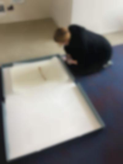 Visitor documentation. Sands Murray-Wassink, *In Good Company (Horsepower): Materials from the Gift Science Archive, 1993-present*, mistral, Amsterdam, March - May 2021. Photo: Megan Hoetger.