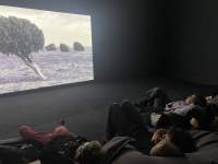Students watch a film installation in the exhibition *Mountains and Molehills* by Fiona Tan. EYE Filmmuseum, Amsterdam, 2022.