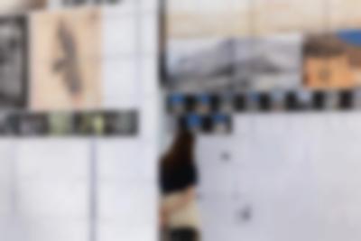 Close-up of two large screens. There are photos and documents printed on them. A person studies one of them carefully, with their arms behind their back.