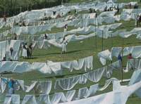 Lawn with several clotheslines, where white fabric and clothes have been hung. There are several feminine-presenting people taking care of this laundry.
