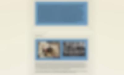 Website section showing some text and two images, which appear inside blue blocks.