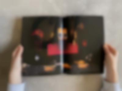 Two hands hold a book open. Across the two pages, there is a photograph of objects on top of a black background. A red lego is discernible in the middle. White text appears at the bottom, on both pages.